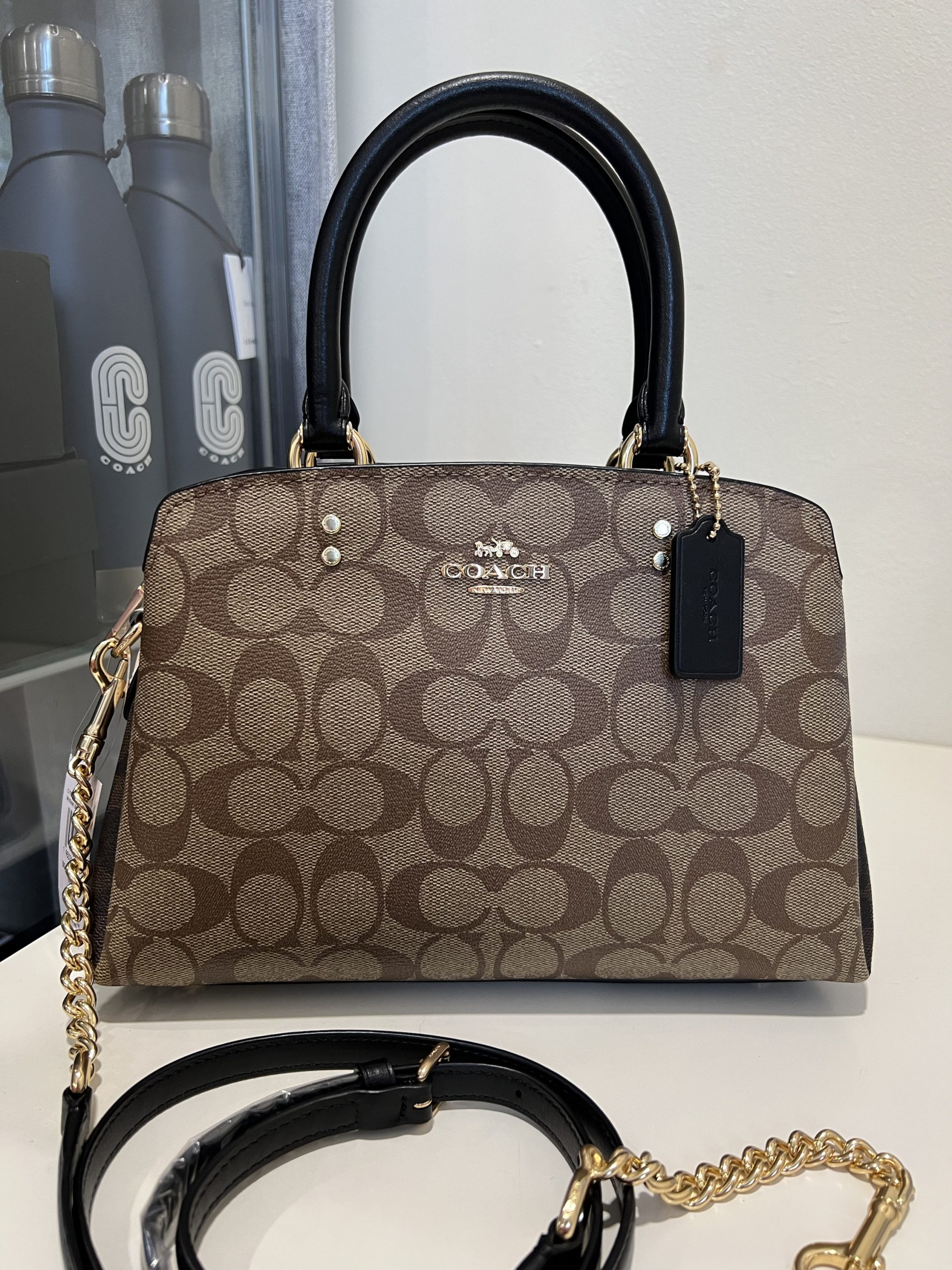 Coach Mini Lillie Chain Carryall in Signature Blocked Khaki Brown Multi ...