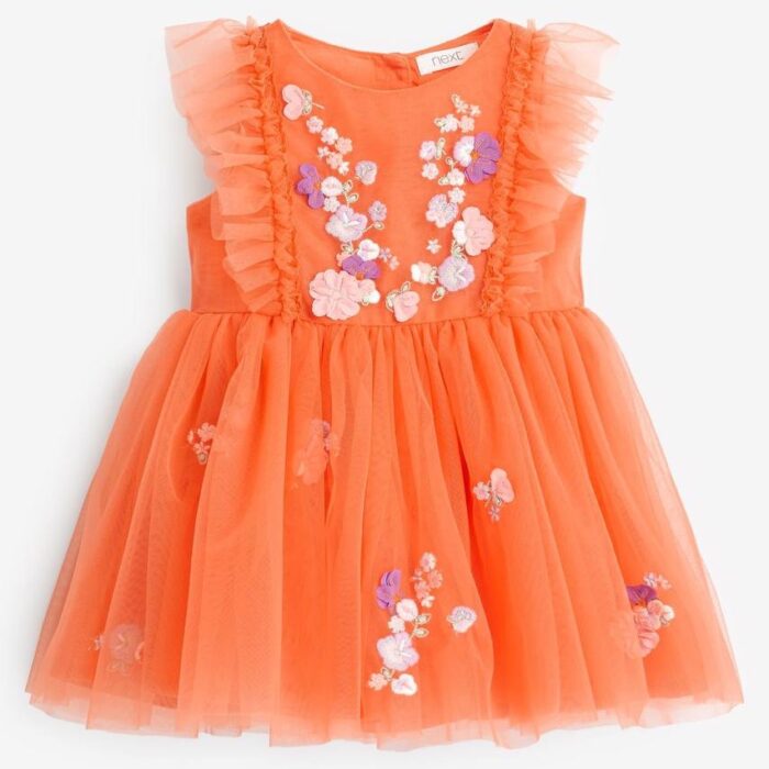 Next Party Dress (9-12months)