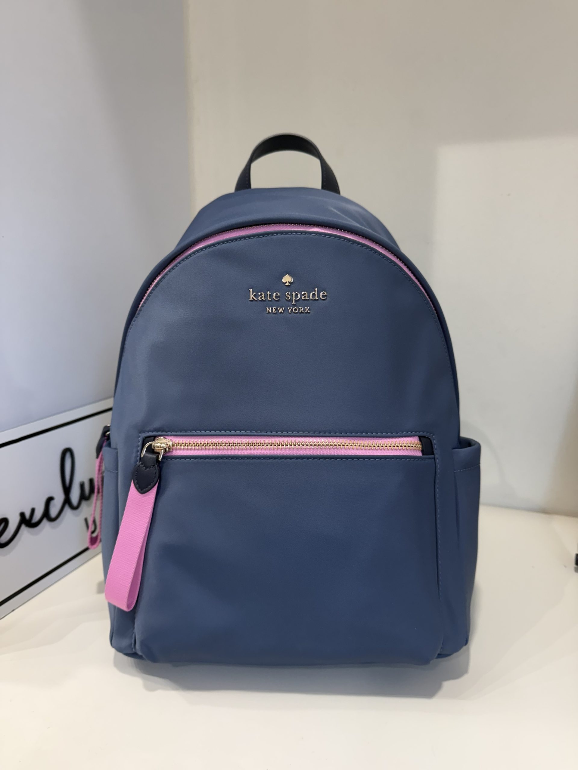 Kate Spade Chelsea Medium Backpack in Colorblock Bluestone 