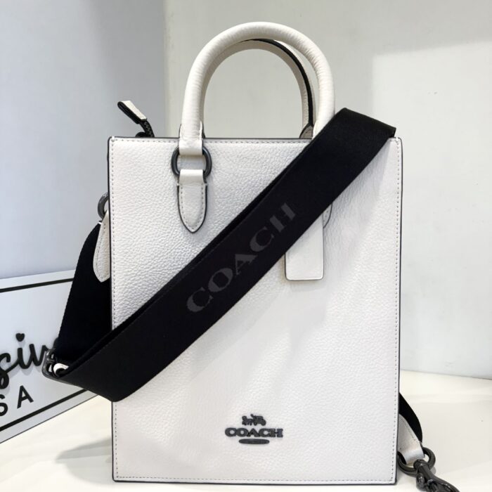 Coach Dylan Tote in Chalk